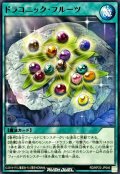ドラコニックフルーツ【ノーマル】{RD/KP23-JP046}《RD魔法》