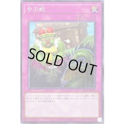画像1: やぶ蛇【ノーマル】{SD43-JP040}《罠》