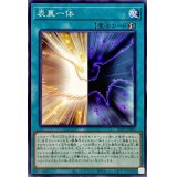 〔状態A-〕表裏一体【ノーマル】{23PP-JP005}《魔法》