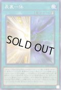 〔状態B〕表裏一体【ノーマルパラレル】{23PP-JP005}《魔法》