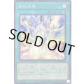 金科玉条【ノーマルパラレル】{23PP-JP004}《魔法》