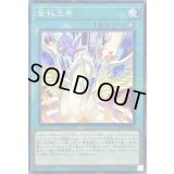 金科玉条【ノーマルパラレル】{23PP-JP004}《魔法》