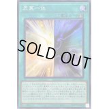 表裏一体【スーパー】{23PP-JP005}《魔法》