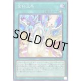 〔状態B〕金科玉条【スーパー】{23PP-JP004}《魔法》