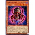 分裂するマザースパイダー【ノーマル】{23PP-JP013}《モンスター》