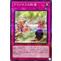 アマゾネスの秘湯【ノーマルパラレル】{AC02-JP039}《罠》