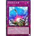 強制脱出装置【ノーマルパラレル】{DBTM-JP044}《罠》
