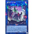 闘神の虚像【ノーマルパラレル】{DBWS-JP022}《リンク》
