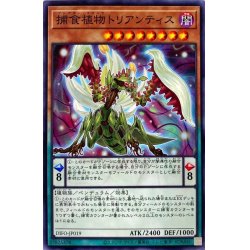 画像1: 捕食植物トリアンティス【ノーマル】{DIFO-JP019}《モンスター》