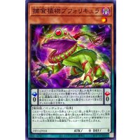 捕食植物ブフォリキュラ【ノーマル】{DIFO-JP018}《モンスター》