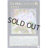 ☆アジア☆No39希望皇ホープライジング【シークレット】{アジアHC01-JP028}《エクシーズ》