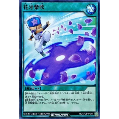 花牙紫吹【ノーマル】{RD/KP08-JP047}《RD魔法》