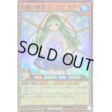 〔状態B〕治療の神童 ディアンケト【スーパー】{RD/KP10-JP030}《RDモンスター》
