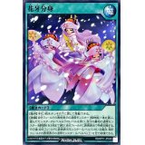 花牙分身【ノーマル】{RD/KP11-JP049}《RD魔法》