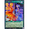 〔状態A-〕蒼救の照覧【スーパー】{RD/KP12-JP053}《RD魔法》