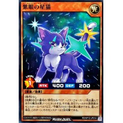画像1: 紫眼の星猫【ノーマル】{RD/KP12-JP014}《RDモンスター》