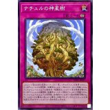 ナチュルの神星樹【ノーマル】{SD45-JP037}《罠》