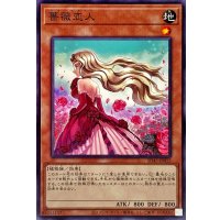 薔薇恋人【ノーマル】{SD45-JP015}《モンスター》