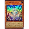 〔状態A-〕キノの蟲惑魔【スーパー】{SD45-JP002}《モンスター》