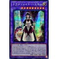 〔状態A-〕☆アジア☆ドラゴンメイドハスキー【シークレット】{アジアSLF1-JP065}《融合》