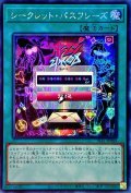 〔状態A-〕☆アジア☆シークレットパスフレーズ【シークレット】{アジアSLF1-JP084}《魔法》