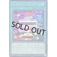 〔状態B〕☆アジア☆シークレットパスフレーズ【シークレット】{アジアSLF1-JP084}《魔法》