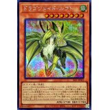〔状態A-〕ドラゴンメイドルフト【シークレット】{SLF1-JP063}《モンスター》