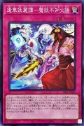 〔状態A-〕逢華妖麗譚魔妖不知火語【スーパー】{SSB1-JP004}《罠》