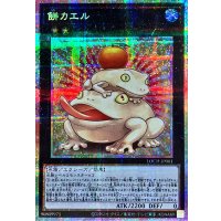 〔状態A-〕餅カエル【プリズマティックシークレット】{LOCH-JP061}《エクシーズ》