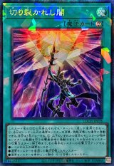 切り裂かれし闇【コレクターズ】{LOCH-JP078}《魔法》