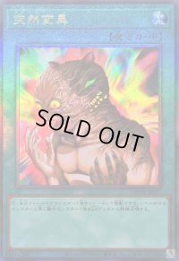 〔状態A-〕突然変異【レリーフ】{LOCH-JP067}《魔法》