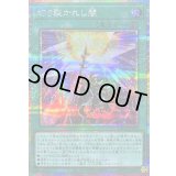 〔状態B〕切り裂かれし闇【プリズマティックシークレット】{LOCH-JP078}《魔法》