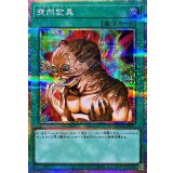 突然変異【プリズマティックシークレット】{LOCH-JP067}《魔法》