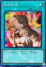 突然変異【シークレット】{LOCH-JP067}《魔法》