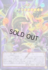 〔状態B〕四天の龍スターヴヴェノムフュージョンドラゴン【OFウルトラ】{LOCR-JP013}《融合》