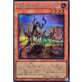 〔状態A-〕原石竜アナザーベリル【シークレット】{LOCR-JP046}《モンスター》