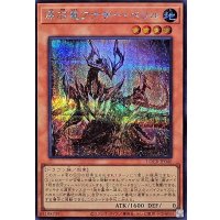 〔状態A-〕原石竜アナザーベリル【シークレット】{LOCR-JP046}《モンスター》