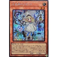 白き森のリゼット【シークレット】{LOCR-JP056}《モンスター》