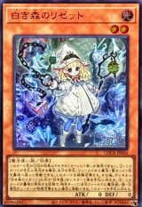 白き森のリゼット【スーパー】{LOCR-JP056}《モンスター》