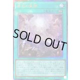 〔状態B〕原石の皇脈【レリーフ】{LOCR-JP076}《魔法》