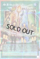 〔状態B〕精霊術の使い手【OFプリズマティックシークレット】{LOSP-JP019}《魔法》