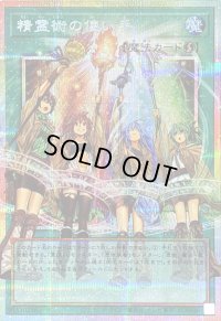 〔状態B〕精霊術の使い手【OFプリズマティックシークレット】{LOSP-JP019}《魔法》