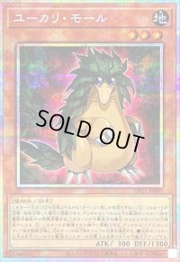 〔状態B〕ユーカリモール【プリズマティックシークレット】{LPG1-JP003}《モンスター》