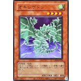 (旧枠)オキシゲドン【ウルトラ】{LPG1-JP038}《モンスター》