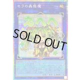 〔状態B〕セラの蟲惑魔【プリズマティックシークレット】{LPST-JP022}《リンク》