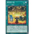 魔導加速【ノーマル】{LVP3-JP040}《魔法》