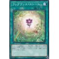 フレグランスストーム【ノーマル】{LVP3-JP045}《魔法》