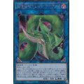 捕食植物ヴェルテアナコンダ【シークレット】{LVP3-JP071}《リンク》