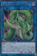 捕食植物ヴェルテアナコンダ【シークレット】{LVP3-JP071}《リンク》