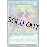 はぐれ使い魔シグナル【ノーマル】{RD/MRP2-JP020}《RD魔法》